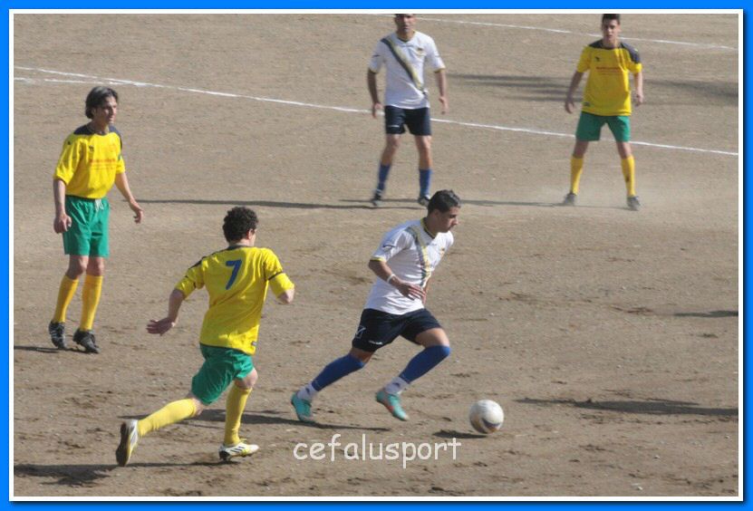130406 delfini 010_tn.jpg